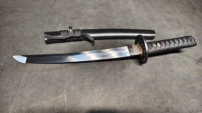 little tyrant（Spring steel forging process）katana,short knife