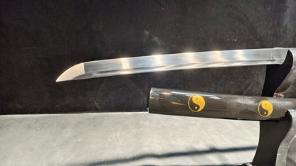 Tai Chi（Spring steel forging process）katana